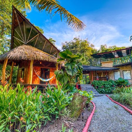 Tree House Beachfront Lodge Puerto Viejo de Talamanca Eksteriør bilde