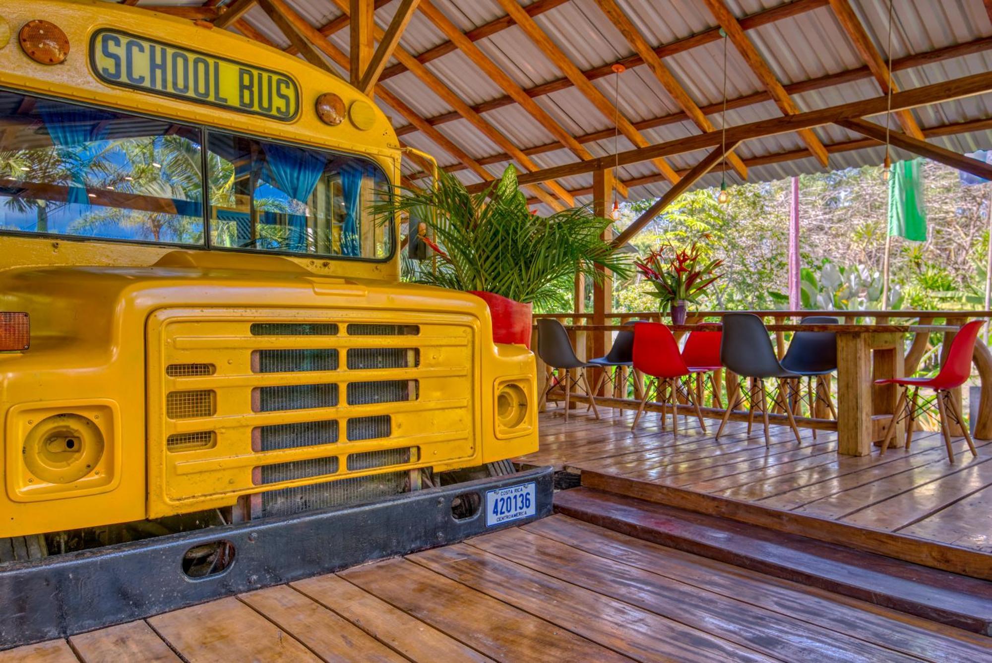 Tree House Beachfront Lodge Puerto Viejo de Talamanca Eksteriør bilde