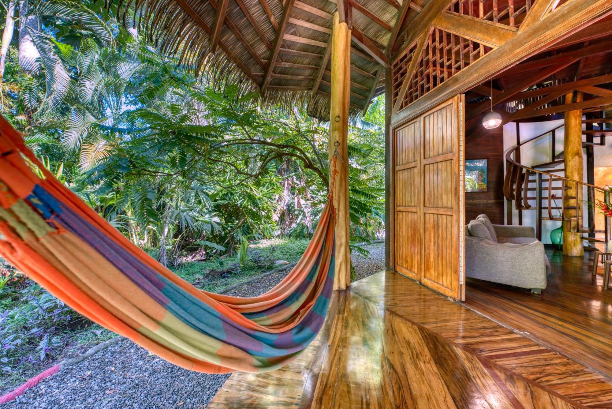 Tree House Beachfront Lodge Puerto Viejo de Talamanca Eksteriør bilde