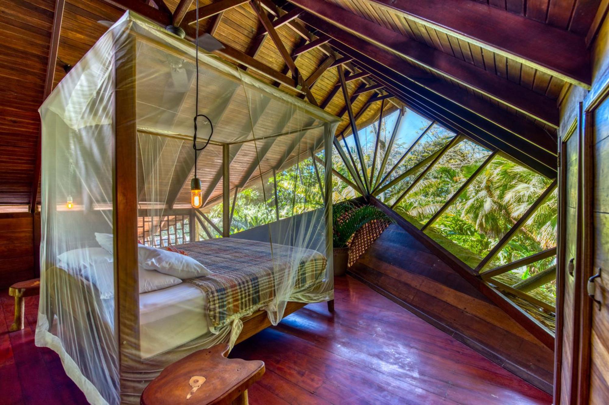 Tree House Beachfront Lodge Puerto Viejo de Talamanca Eksteriør bilde