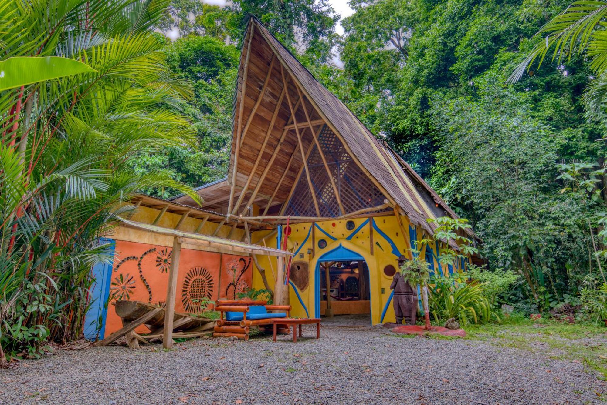 Tree House Beachfront Lodge Puerto Viejo de Talamanca Eksteriør bilde