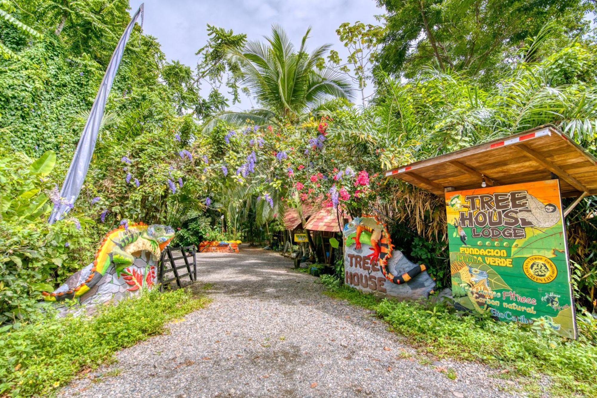 Tree House Beachfront Lodge Puerto Viejo de Talamanca Eksteriør bilde