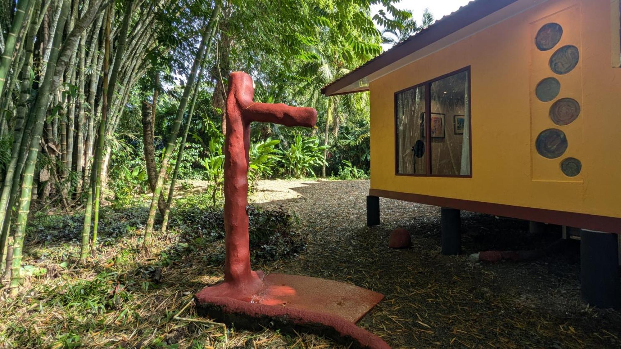 Tree House Beachfront Lodge Puerto Viejo de Talamanca Eksteriør bilde
