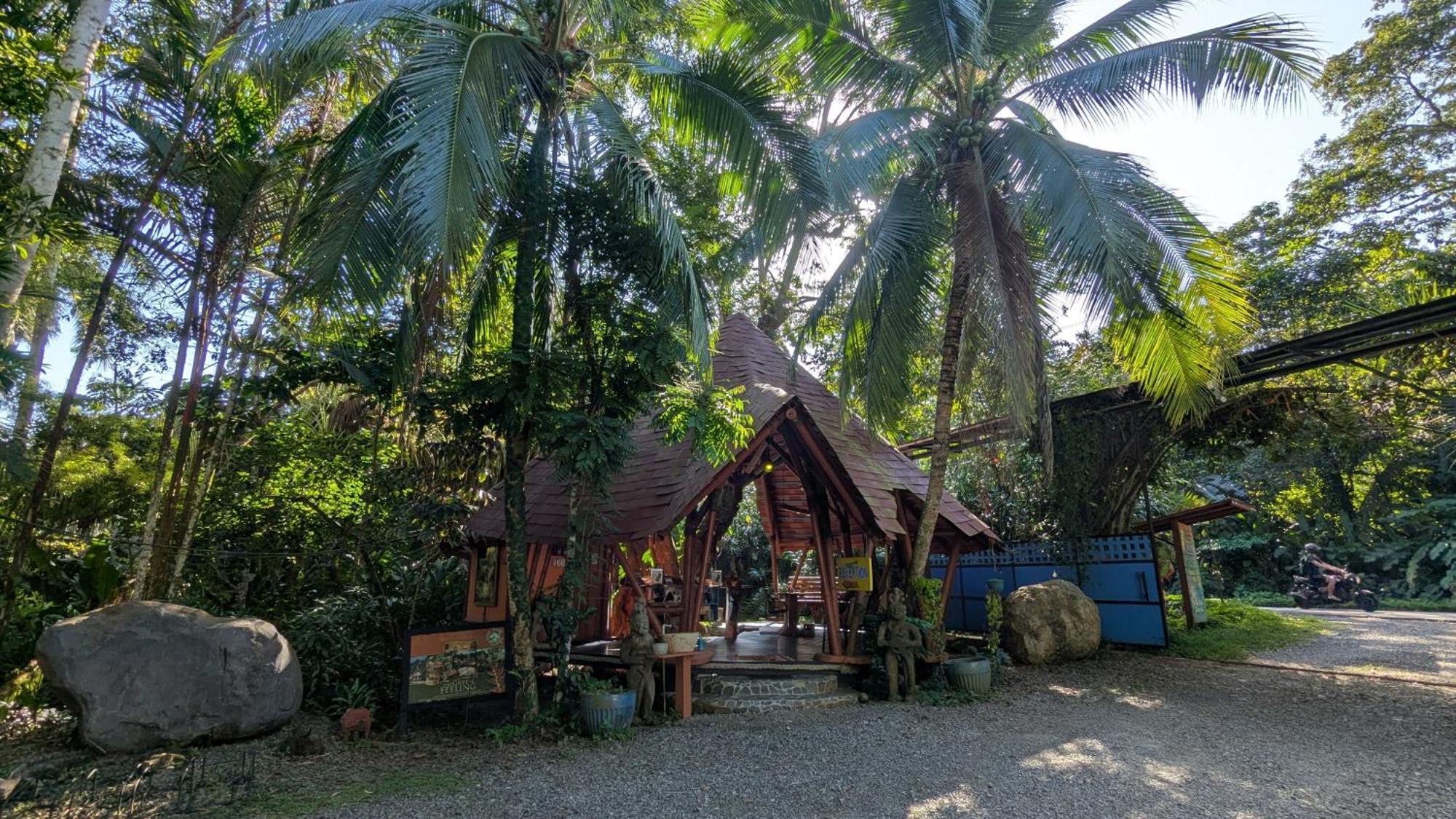 Tree House Beachfront Lodge Puerto Viejo de Talamanca Eksteriør bilde