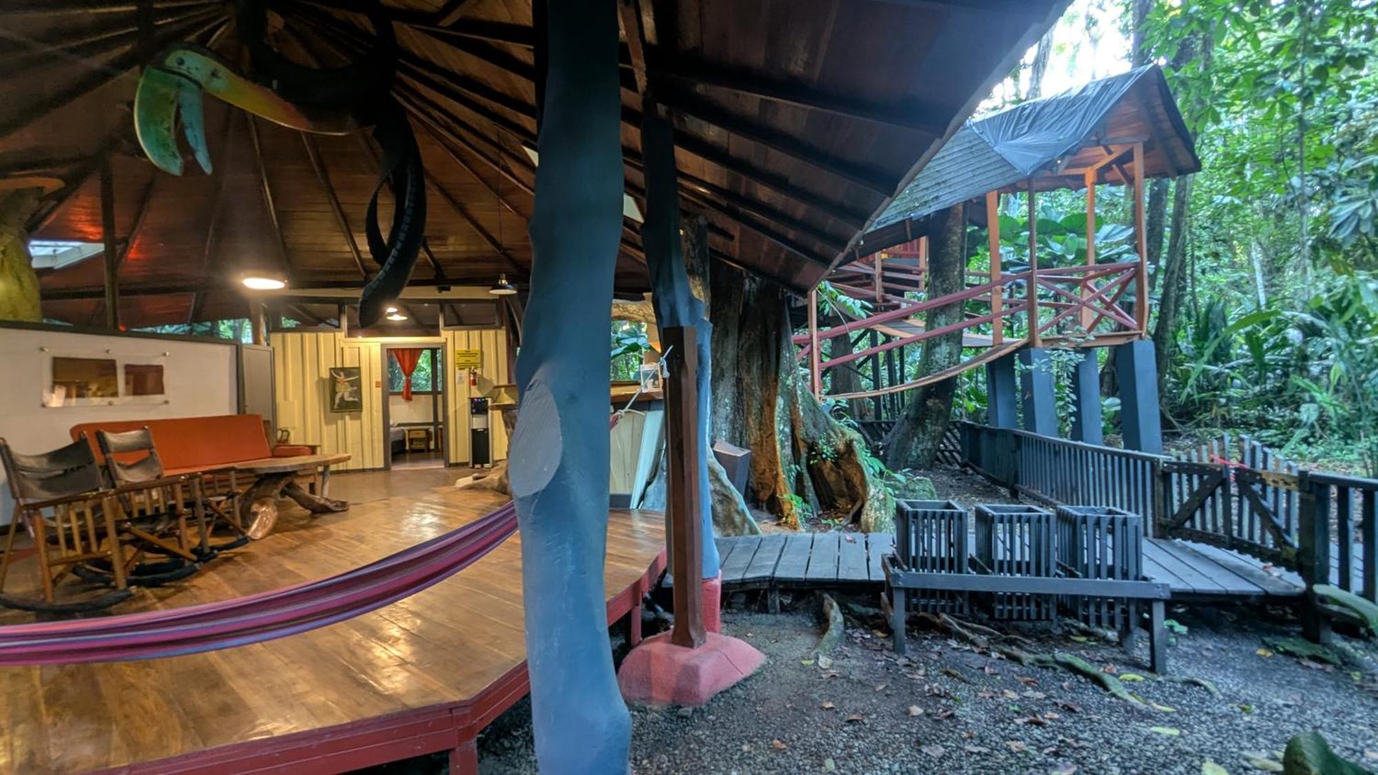 Tree House Beachfront Lodge Puerto Viejo de Talamanca Eksteriør bilde