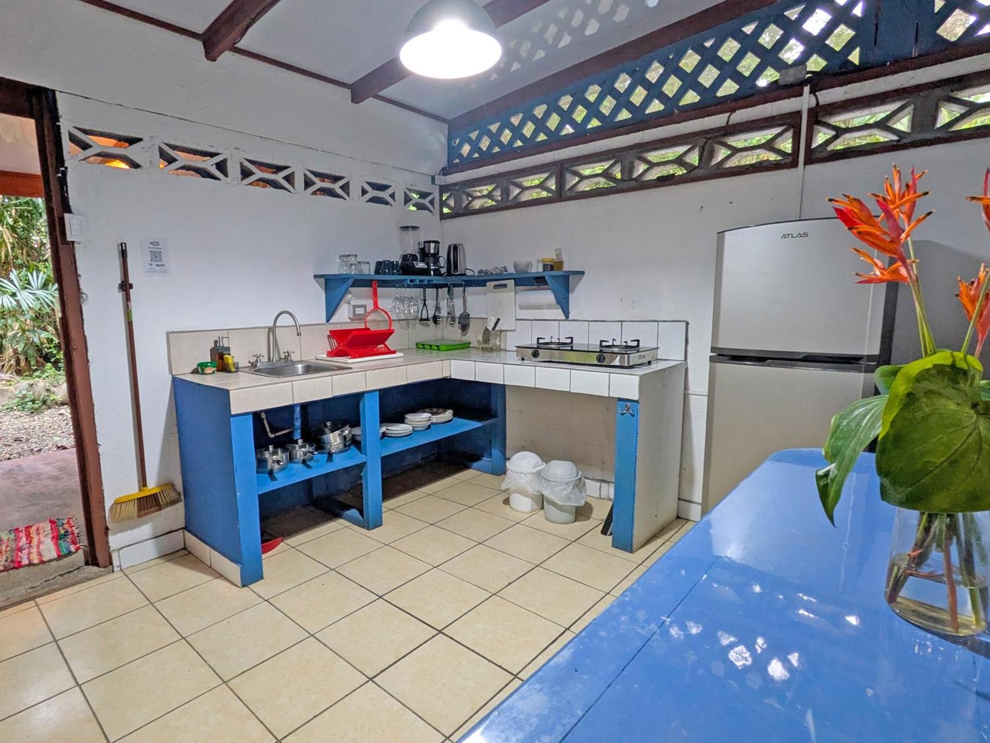 Tree House Beachfront Lodge Puerto Viejo de Talamanca Eksteriør bilde